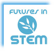 STEM 
